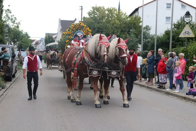 Foto: Lena Schwärzli, Stadtverwaltung Pfaffenhofen a. d. Ilm