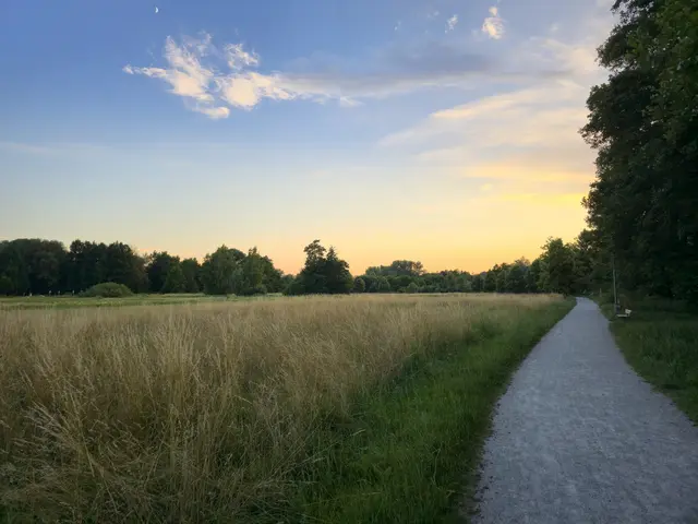 Der Gerolsbachpark wird in den nächsten Jahren im Sinne der Naherholung und Artenvielfalt umgestaltet.  | Foto: © Ludwig Häring, Stadtverwaltung Pfaffenhofen a. d. Ilm