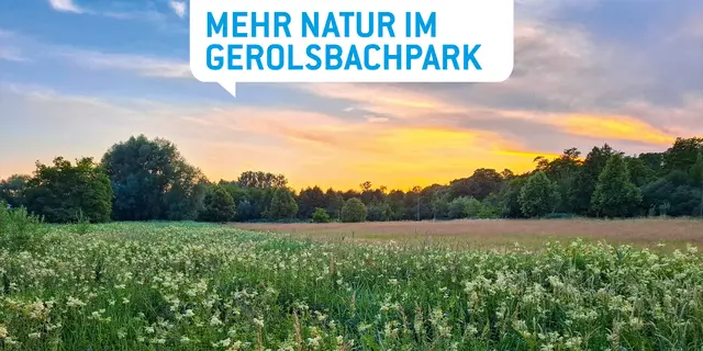 Der Gerolsbachpark wird in den nächsten Jahren im Sinne der Naherholung und Artenvielfalt umgestaltet.  | Foto: Ludwig Häring, Stadtverwaltung Pfaffenhofen a. d. Ilm