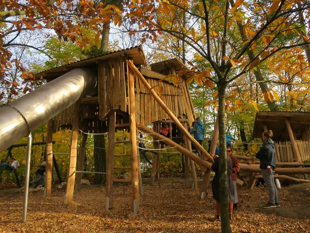 Zentrales Element ist das Kletterbaumhaus inklusive Tunnelrutsche und Kletterelementen. 