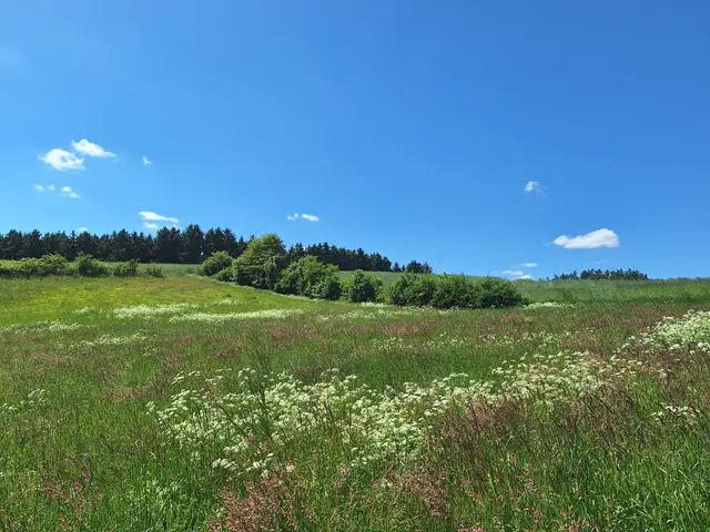 Die Pflege von Hecken ist wichtig, da sie eine zentrale Rolle für die Artenvielfalt darstellen.  | Foto: Magdalena Hecker, Mitarbeiterin des Landschaftspflegeverbands Pfaffenhofen