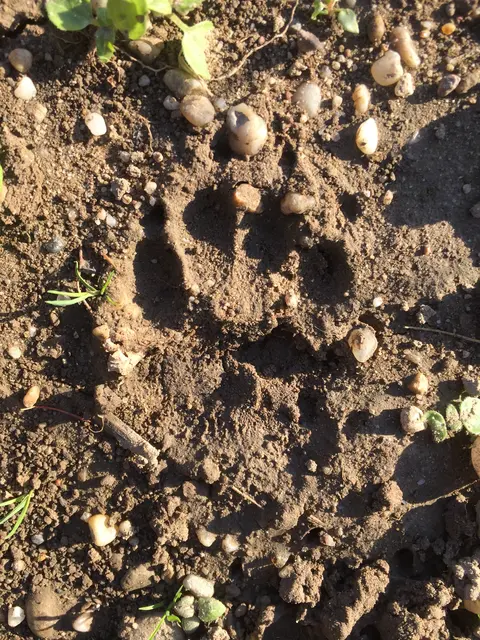 Foto: Urheber der Bilder ist A.p.e. gGmbH & Förderverein