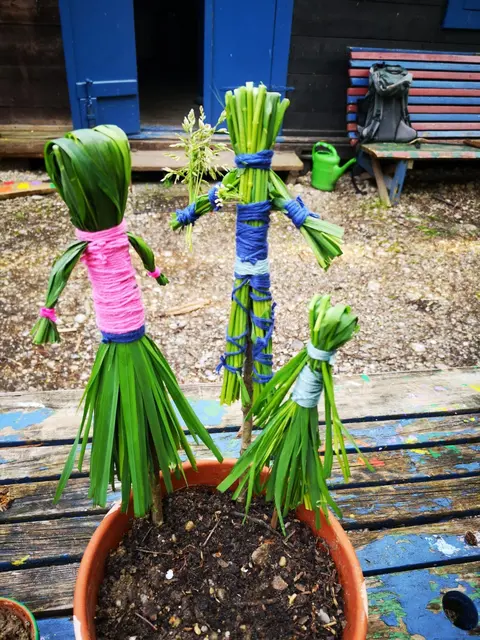 Foto: Urheber der Bilder ist A.p.e. gGmbH & Förderverein