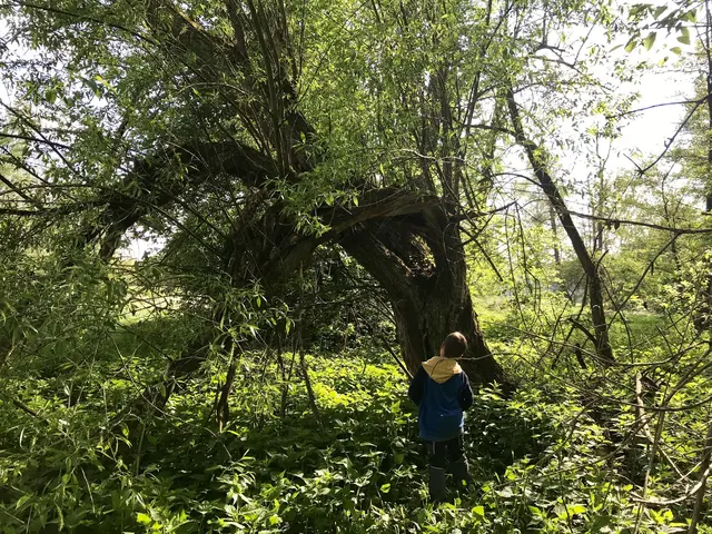 Foto: Urheber der Bilder ist A.p.e. gGmbH & Förderverein