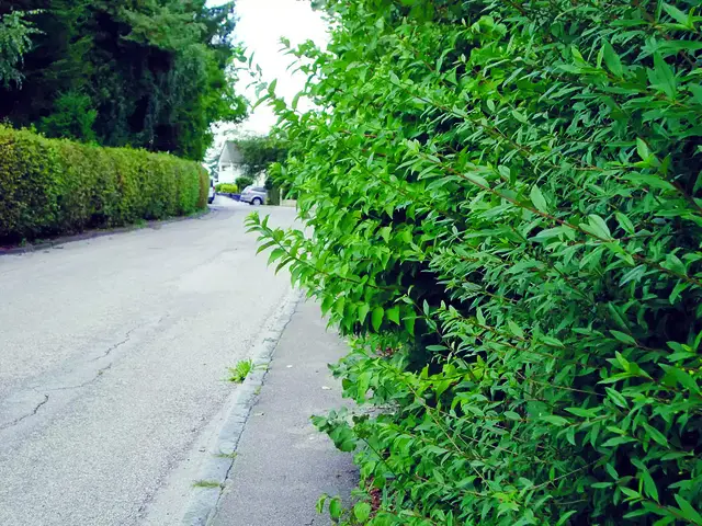 Foto: Stadtverwaltung Pfaffenhofen