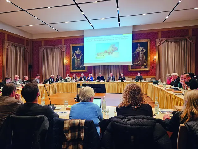 Einmal im Monat tagt der Stadtrat im Festsaal des Rathauses. | Foto: Stadtverwaltung Pfaffenhofen