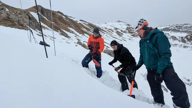 Foto: Gregor Bauer