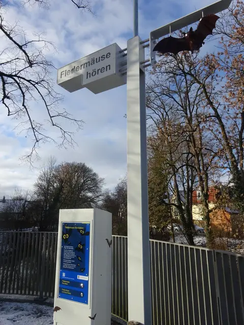 An der Fledermaus-Hörstation kann man Fledermäuse-Töne live oder vom Band hören.