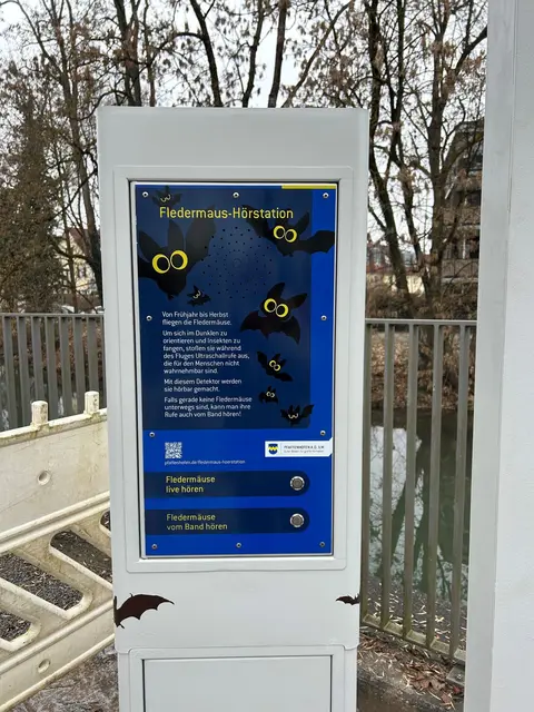 An der Fledermaus-Hörstation kann man Fledermäuse-Töne live oder vom Band hören.