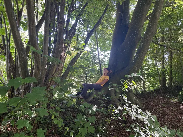 InterKulturGarten Pfaffenhofen an der Ilm
Achtung!
Neue Adresse:
Niederscheyererstraße 48a 
85276 Pfaffenhofen an der Ilm | Foto: IKG PAF