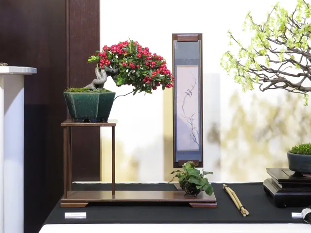 Foto: Urheber Rainer Greissl und Claus Abicht
