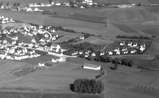 Die Hipp-Siedlung 1957 (Foto: Stadtarchiv)