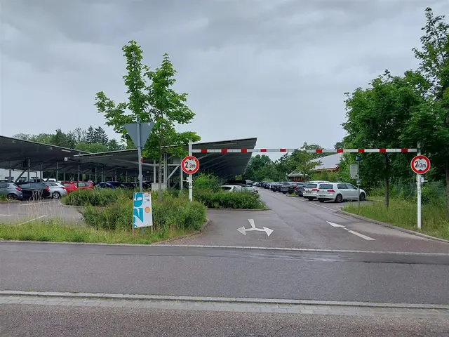 Die Entwässerungsmulden unter den Dächern werden saniert.  | Foto: © Stadtverwaltung