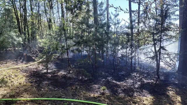 Foto: Freiwillige Feuerwehr Pfaffenhofen