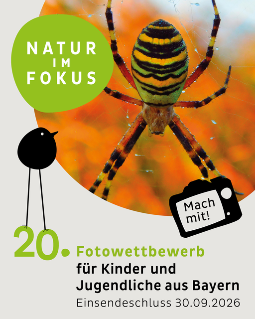 Foto: Natur im Fokus