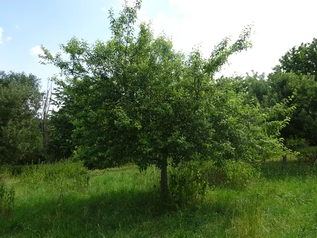 Foto: Stadtverwaltung Pfaffenhofen