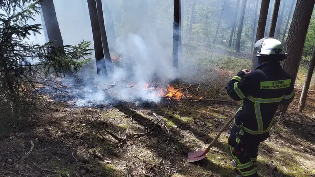 Erst kürzlich konnte die Feuerwehr Pfaffenhofen einen Waldbrand gerade noch rechtzeitig unter Kontrolle bringen. | Foto: Freiwillige Feuerwehr Pfaffenhofen