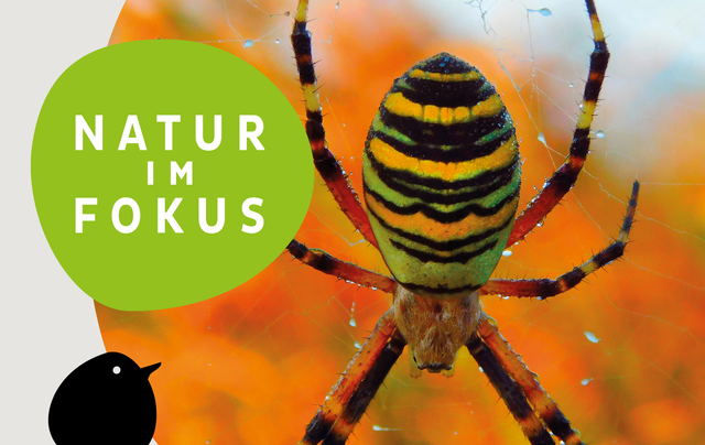 Foto: Natur im Fokus