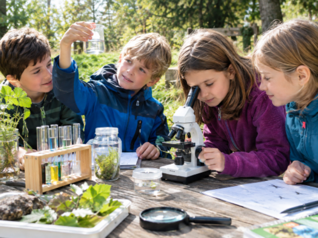 Kinder in der Natur, an einem Tisch mit Mikroskop, Lupe und Gläschen zum Forschen