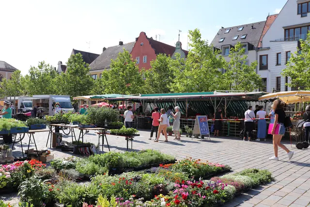 Wochenmarkt auf dem Hauptplatz.