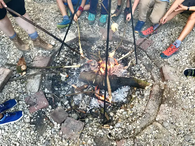 Foto: Urheber der Bilder ist A.p.e. gGmbH & Förderverein