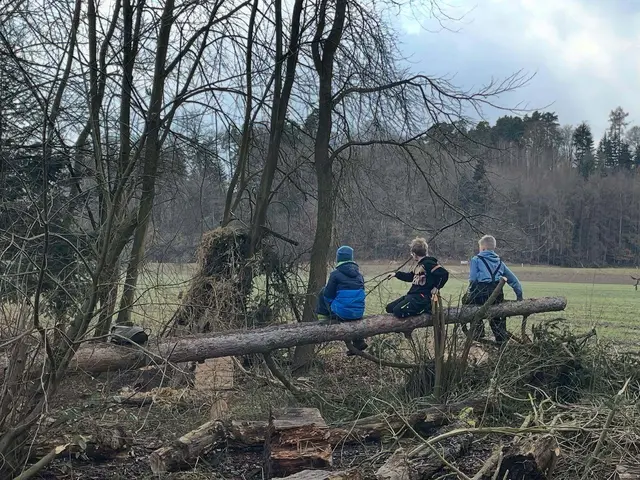Foto: Urheber der Bilder ist A.p.e. gGmbH & Förderverein