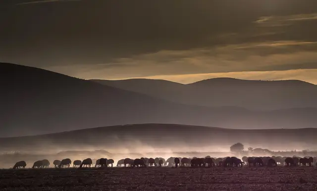 Ünal Cörtük | „Anatolien“ | Foto: Ünal Cörtük