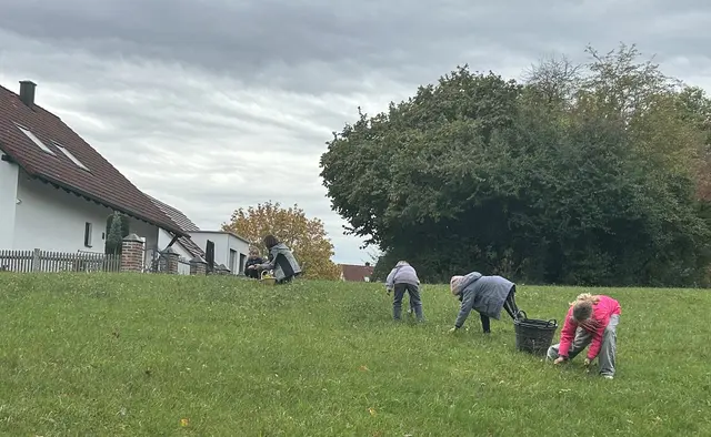 Kinder sammeln Naturmaterialien aufe einer Wiese
