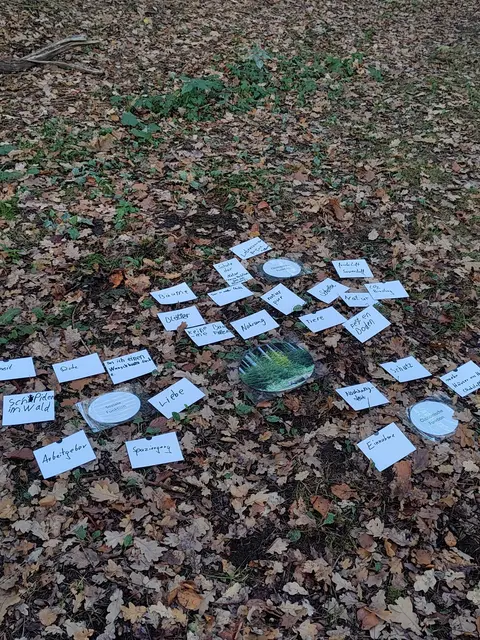 Auf einem Waldboden liegen Karten, die handschriftlich die Aufgaben des Waldes formulieren