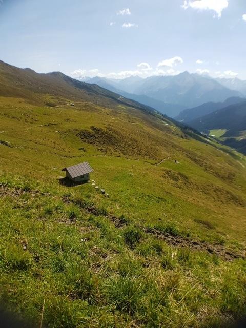 Blick über die Alpen