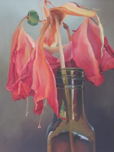 Amaryllis im Glas von Georg Forster | Foto: Georg Forster