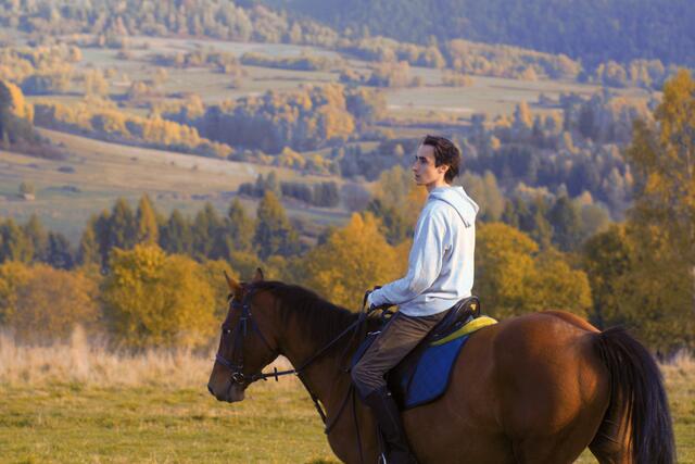 Foto: Salzgeber