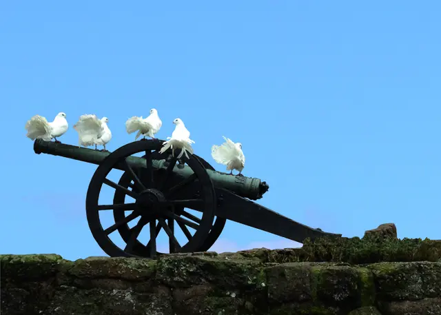 Foto: FUNDUS_3751_Friedenstaube_NEUMEdIERde