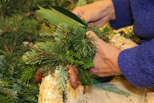 Foto: © Seniorenbüro