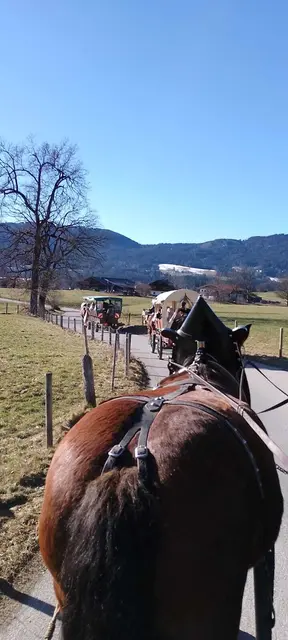 Foto: © Michael Seidl