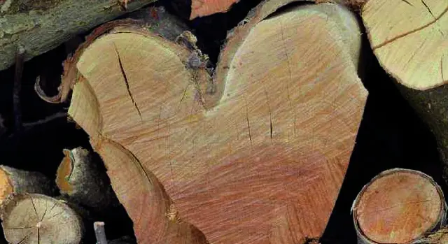 Foto: Kulturstall Tegernbach