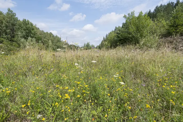 Foto: Christoph Bosch