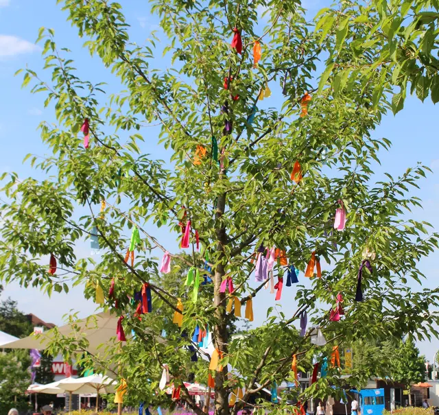 Der Baum der Religionen im Bürgerpark