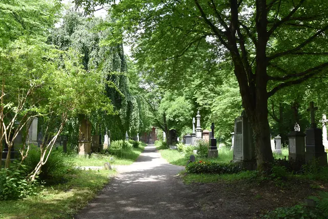 Foto: A. Kardaschenko