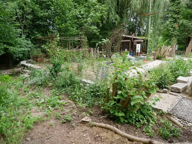 Blick in einen wilden aussehenden Garten